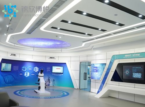 成功入庫國家項目，成都錦欣博悅加速技術創新與軟件開發布局